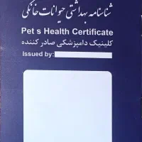 سگ اشپیتز|سگ|پرند, فاز ۶|دیوار