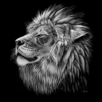 طوطی عروس سخنگو