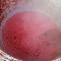 رب خونگی ارگانیک