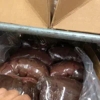 جگر گاو|خوردنی و آشامیدنی|رشت, پستک|دیوار