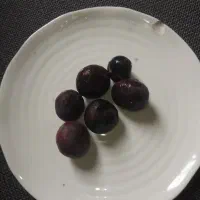 انجیر