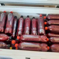 آب انار خوشمزه و تازه