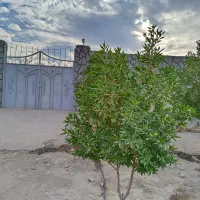 انبار.کارگاه.لب اتوبان چغادک (اجاره یا فروش)