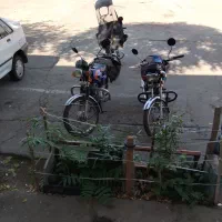 نیازمنده تعدادی پیک موتور