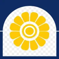 جذب نیرو فوری