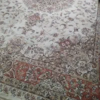 قالی کرمی|فرش|گلبهار, شهر جدید گلبهار|دیوار