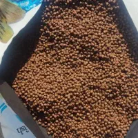 غذا خشک گربه سگ کیفیت خوب قیمت قدیم