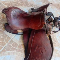 زین اسب|اسب و تجهیزات اسب‌سواری|بوشهر, |دیوار