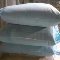 گندم بوجاری شده اماده برای کشت