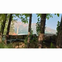 فروش زمین ییلاقی شالینگچال|فروش زمین و ملک کلنگی|گلوگاه بابل (گلیا), |دیوار