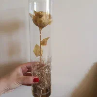 استوانه گل رز به قیمت عمده