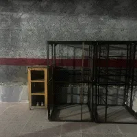 قفس کبوتر