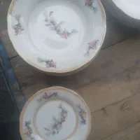 ظروف چینی گلسرخی