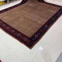 تک ۱۲ متری سنقر اعلا سراسر گردویی رنگ