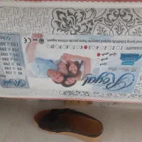 تشک|تخت و سرویس خواب|محمدشهر, محمدشهر|دیوار