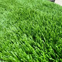 چمن مدرسه و مهدکودک|خدمات باغبانی و درختکاری|تهران, نیلوفر|دیوار