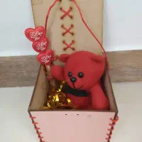 عروسک های باکس دار نو