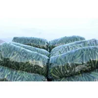 پلاستیک خیاری، گوشت و مرغ (کف قیمت)|ظروف نگهدارنده، پلاستیکی، یک‌بارمصرف|قم, انسجام|دیوار