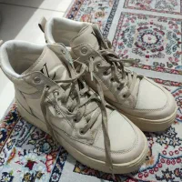 پوتین وکتونی