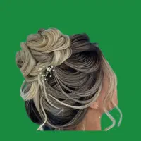 استخدام مربی شنیون