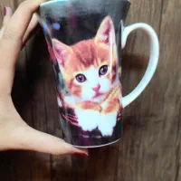 ماگ طرح بچه گربه در سه طرح مختلف