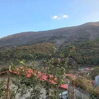 سویت اجاره ای چالوس|اجارهٔ کوتاه‌مدت آپارتمان و سوئیت|چالوس, |دیوار