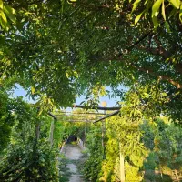 باغ ویلا