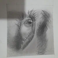 بدلیجات|بدلیجات|آبیک, |دیوار