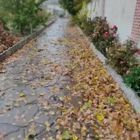 زمین-مولانا6-خیابان-مهرادصدرا250مترصدرا