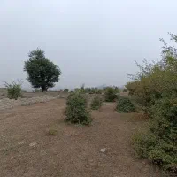 زمین با ویو ابدی در ارتفاعات شهر بهشت-کلاردشت|فروش زمین و ملک کلنگی|کلاردشت, |دیوار