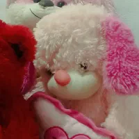 کیف مدارس و عروسک و گیتار