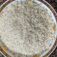 برنج طارم هاشمی  درجه یک   مستقیم از کشاورز