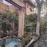 ویتر وگارسون