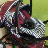 ست کالسکه نو