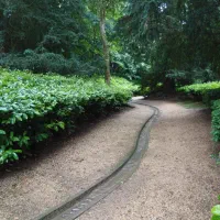 قوغاز نگهبان و هشدار دهنده|حیوانات مزرعه|لنجان, |دیوار