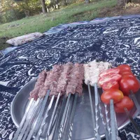 نیروی کارخانم جهت کاردراشپزخانه