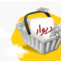 خواهان شغل و درآمد دلاری هستم