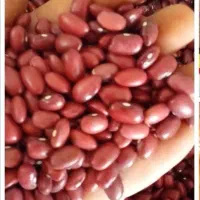 لوبیا چیتی و قرمز تناژ|خوردنی و آشامیدنی|تهران, شادمان|دیوار