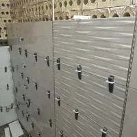 بنایی صفر تا ۱۰۰|خدمات پیشه و مهارت|مشهد, عبادی|دیوار