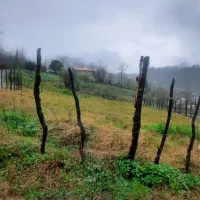 فروش زمین ۷۱۹ متری ومسکونی در روستای ذاکله بر|فروش زمین و ملک کلنگی|لاهیجان, آهندان|دیوار
