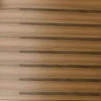 دو عدد زبرا