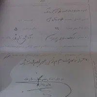 فروش زمین|فروش زمین و ملک کلنگی|زهک, |دیوار