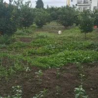 فرصت ساخت ویلا / ۳۶۵ متر زمین داخل بافت