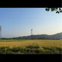 ویلایی قدیمی|فروش خانه و ویلا|کومله, |دیوار