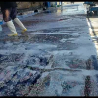 قالیشویی مبلشویی نوید سرویس کل مناطق اسلامشهر