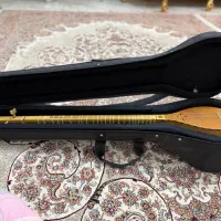 سه تار|سازهای سنتی|پردیس, فاز ۸|دیوار