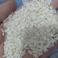 برنج عنبربوه معطر