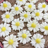 شمع و سنگ مصنوعی