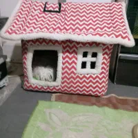 کلبه سگ|لوازم جانبی حیوانات|کرمان, |دیوار