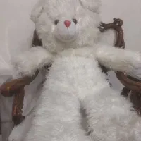 شاسخین پارچه خارجی